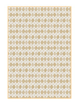 Ethnic Printed Reversible Single Bed Cotton AC Blanket | Lightweight Summer Dohar 60x90 inches