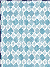Ethnic Printed Reversible Single Bed Cotton AC Blanket | Lightweight Summer Dohar 60x90 inches