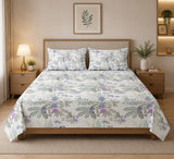 Bedsheet Value Gift Box | 1 Double Bedsheet & 2 Pillow Covers