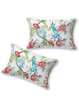 Double King Bedsheet with 2 Pillow Covers