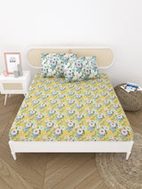 Double King Bedsheet with 2 Pillow Covers