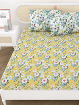 Double King Bedsheet with 2 Pillow Covers