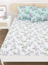 Double King Bedsheet with 2 Pillow Covers