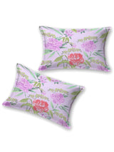 Double King Bedsheet with 2 Pillow Covers