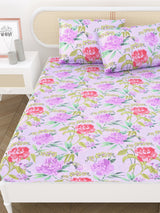 Double King Bedsheet with 2 Pillow Covers